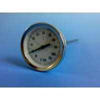 Thermometer Braten Einstich