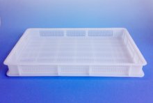 Pack de 10 casiers à pâtes en plastique l/l 60x40x7cm