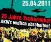 25 Jahre Tschernobyl Demos am 25.4.2011